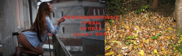 прущая мука Баксан