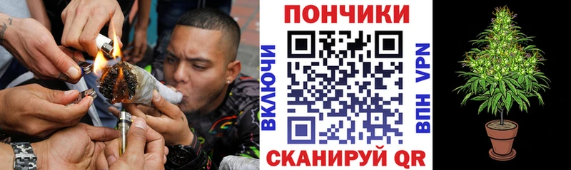 mega сайт  магазин    Дигора  Канабис сатива 